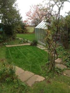 Mowing the Lawns to remove the wilderness by Ed's Garden Maintenance